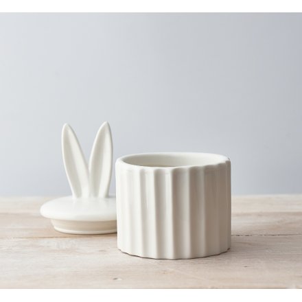 Ridged Storage Bunny Ears Pot